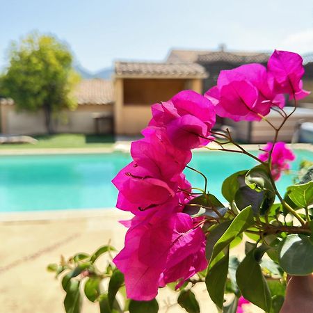 2 Hebergements - 10 Couchages - Parking, Piscine, Jacuzzi - Convivialite Roquebrune-sur Argens Exterior foto